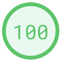 Pagespeed Insights Score, 100
